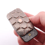 Exotic Custom Slider: EXA163 - Turtle