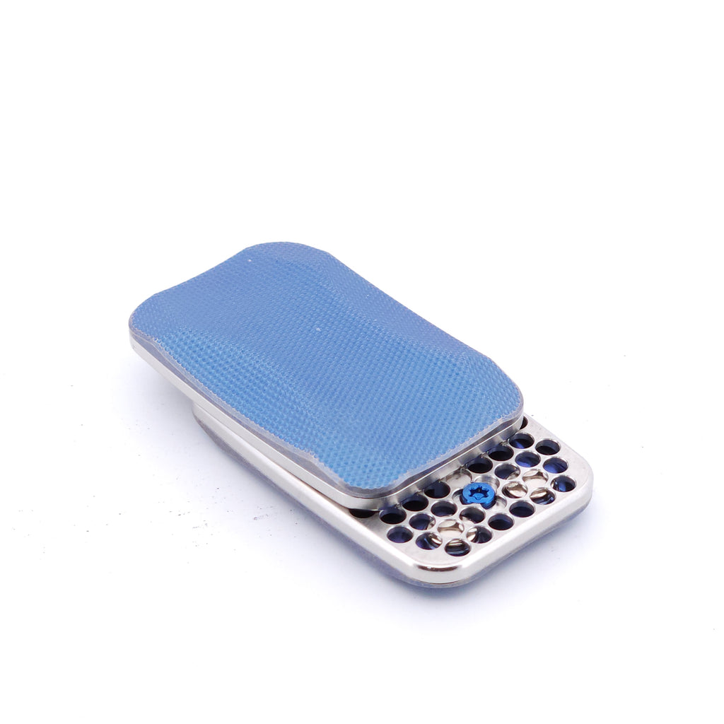 TAC346 - Squashed Toad 