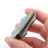 TAE360 - Toad "Quattro"