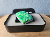 Resin - SD153 - Turtle - 3-Click